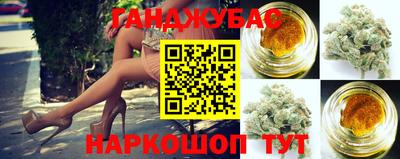 мяу мяу мука Нальчик