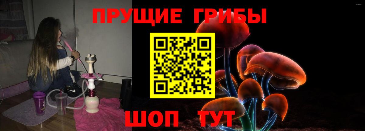 Южно-Сахалинск  Галлюциногенные грибы MAGIC MUSHROOMS  Вход с VPN 